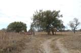 45213 County Road 215 - Photo 8