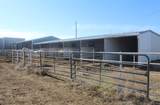 186332 County Road 37 - Photo 48