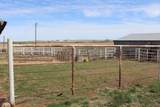 2884 State Highway 46 - Photo 13