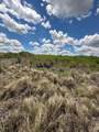  Highway 60 & N. County Road 199 - Photo 8
