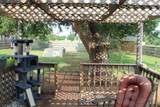 387 D St - Photo 14