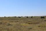  County Road 48 - Photo 10