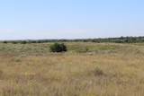  County Road 48 - Photo 14