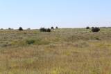  County Road 48 - Photo 15