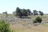  County Road 48 - Photo 25