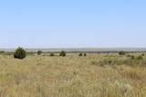  County Road 48 - Photo 41