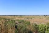  County Road 48 - Photo 5