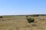  County Road 48 - Photo 9