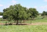  County Road 42/Hanks Trail - Photo 11