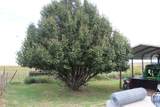 200575 County Road 51 - Photo 10