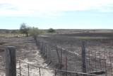 170669 County Road 32 - Photo 33