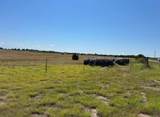 County Road 202 & 43 - Photo 8