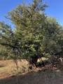20463 750 Rd - Photo 24