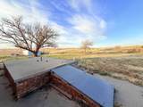 36767 County Road 186 - Photo 19
