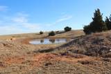  County Road 41 - Photo 24
