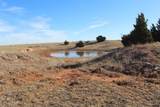  County Road 41 - Photo 25