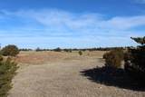  County Road 41 - Photo 29
