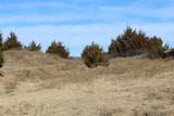  County Road 41 - Photo 45