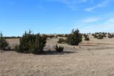  County Road 41 - Photo 50