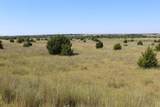  County Road 48 - Photo 21