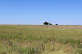  County Road 48 - Photo 50