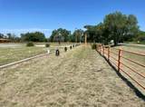 39682 County Road 196 - Photo 16