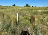 39682 County Road 196 - Photo 29