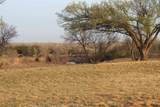 51024 County Rd 218 - Photo 32