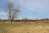 51024 County Rd 218 - Photo 43