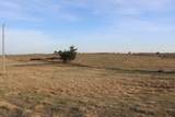 51024 County Rd 218 - Photo 46