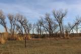 51024 County Rd 218 - Photo 49