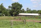  County Road 42/Hanks Trail - Photo 12
