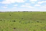  County Road 42/Hanks Trail - Photo 4