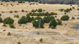 80 A Harper Road - Photo 10