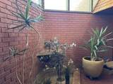 1806 Mockingbird Ln - Photo 14