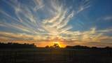 48667 County Rd 264 - Photo 47