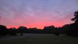 48667 County Rd 264 - Photo 48