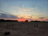 48667 County Rd 264 - Photo 49