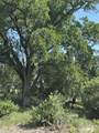  County Rd 49 - Photo 11