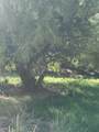  County Rd 49 - Photo 12