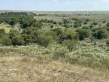  County Rd 49 - Photo 4