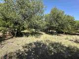  County Rd 49 - Photo 8