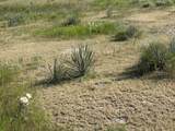  County Road 48 - Photo 4