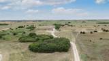 51913 County Rd 199 - Photo 42