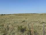  County Road 48 - Photo 3