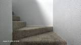 42723 County Road 264 - Photo 12