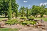 3101 Clairemont Dr - Photo 43