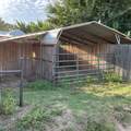 505 Olive - Photo 23