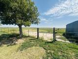 48308 County Road 172 - Photo 8