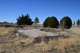 52496 S County Road 186 - Photo 13